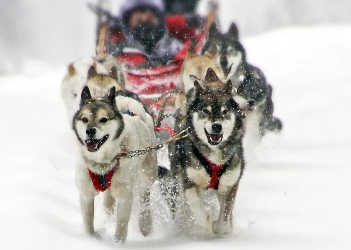 Hotel Li Arnoga San Carlo (Grisons)