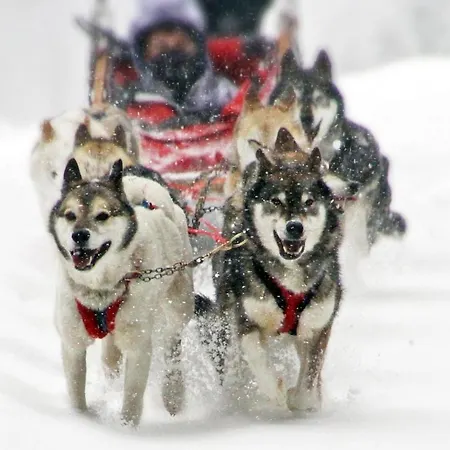 Hotel Li Arnoga San Carlo (Grisons)